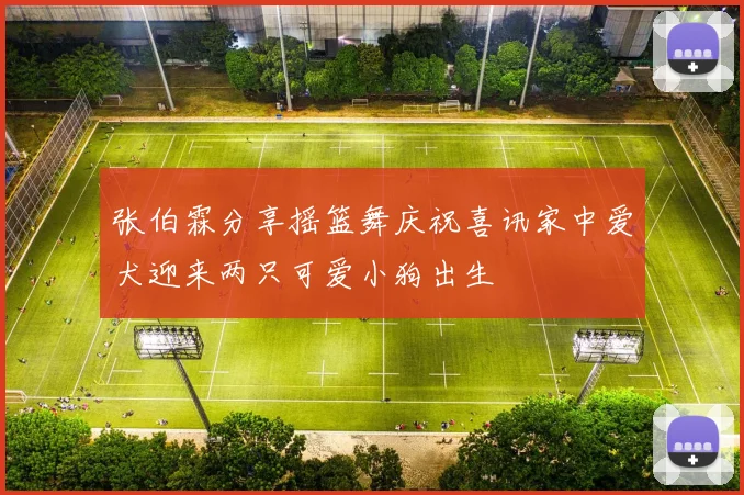 张伯霖分享摇篮舞庆祝喜讯家中爱犬迎来两只可爱小狗出生