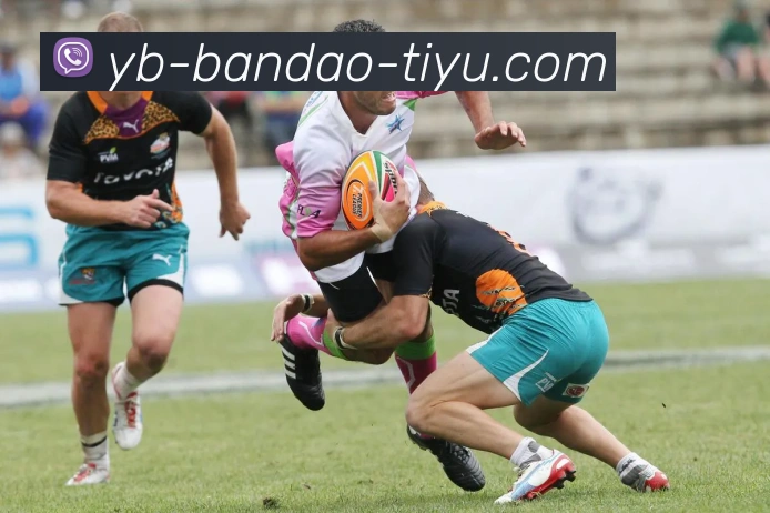 半岛体育发展历程